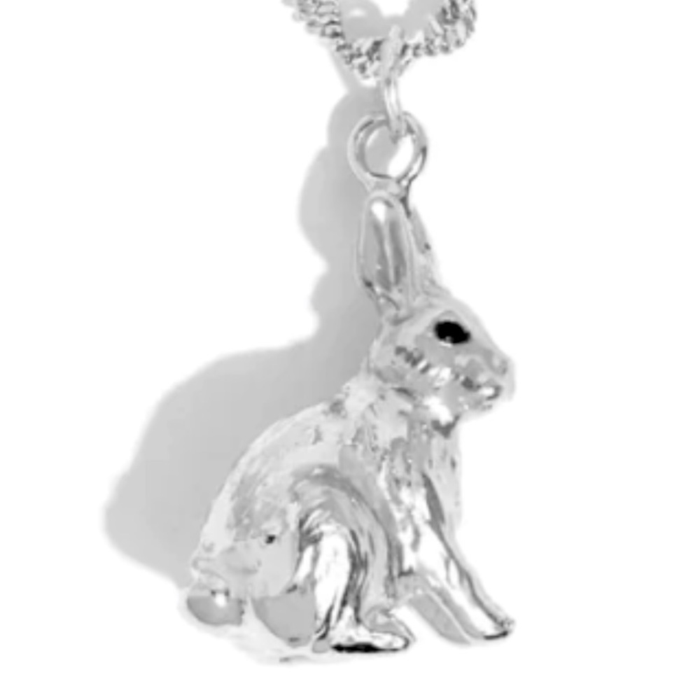 🐇🩶🐰 “DONT WORRY, BE HOPPY” SILVER BUNNY RABBIT SHORT NECKLACE - PAPARAZZI❗️